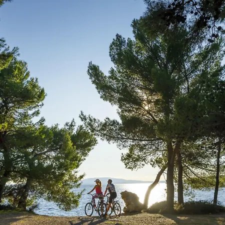 Отель Valamar Padova 4*