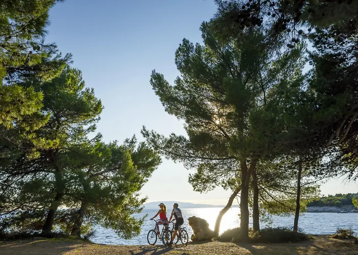 ホテル ヴァラマール パドヴァ 4*